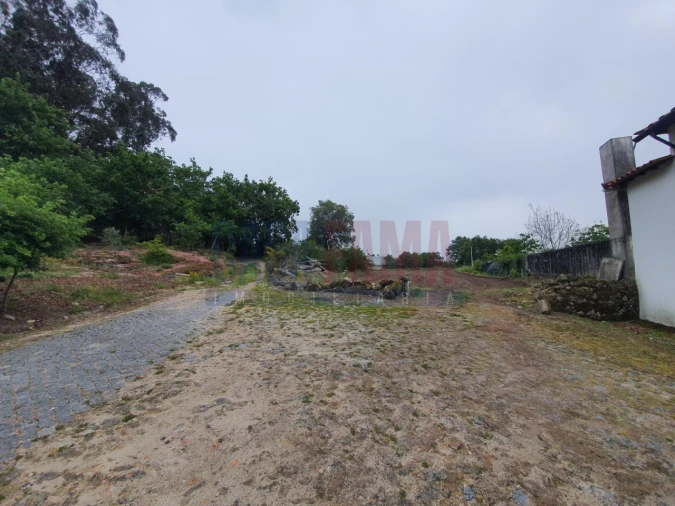 Terreno para Venda em Carvalhas Foto 3