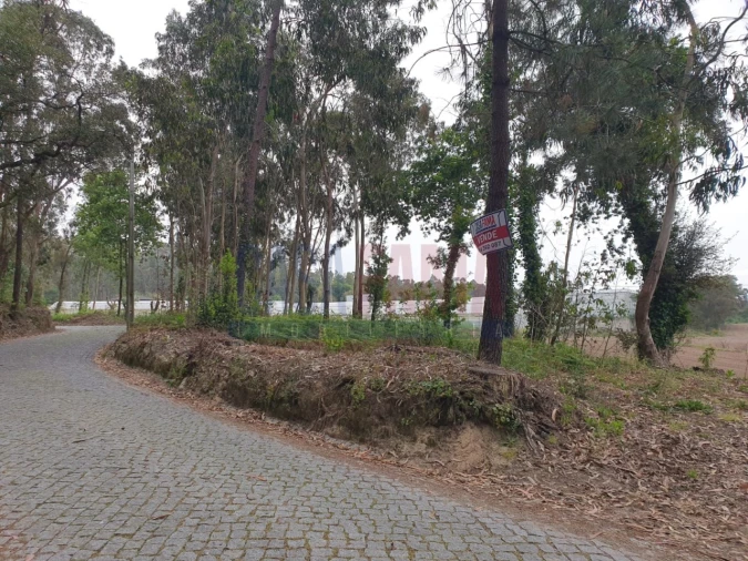 Terreno para Venda em Carvalhas Foto 6