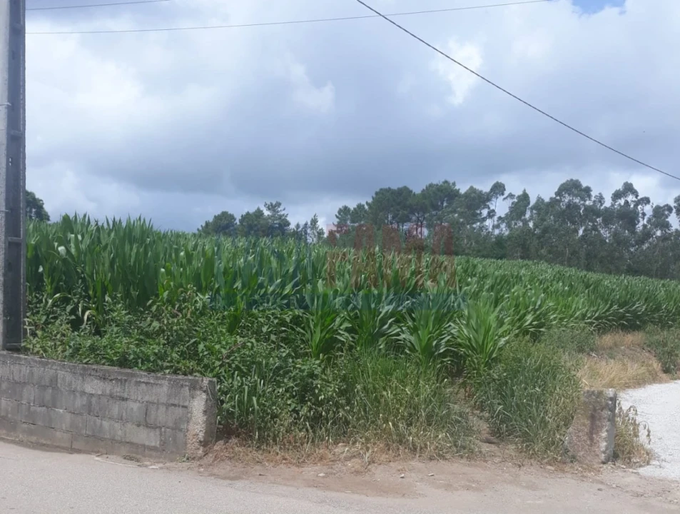 Terreno Agricola ou Rústico para Venda em Vilarinho das Cambas Foto 7