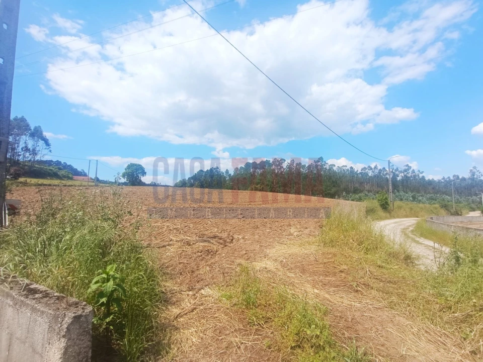 Terreno Agricola ou Rústico para Venda em Vilarinho das Cambas Foto 1
