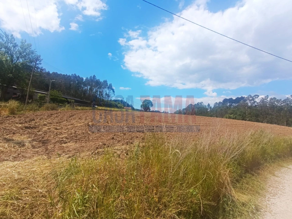 Terreno Agricola ou Rústico para Venda em Vilarinho das Cambas Foto 4