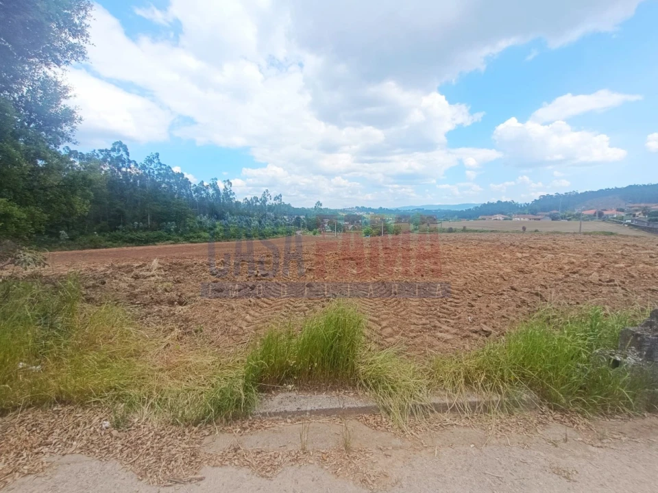 Terreno Agricola ou Rústico para Venda em Vilarinho das Cambas Foto 5