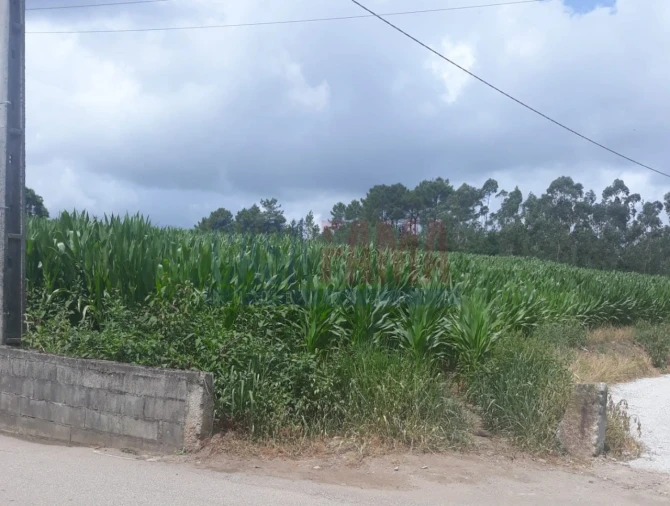 Terreno Agricola ou Rústico para Venda em Vilarinho das Cambas Foto 7