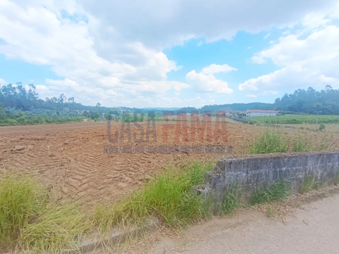 Terreno Agricola ou Rústico para Venda em Vilarinho das Cambas Foto 2