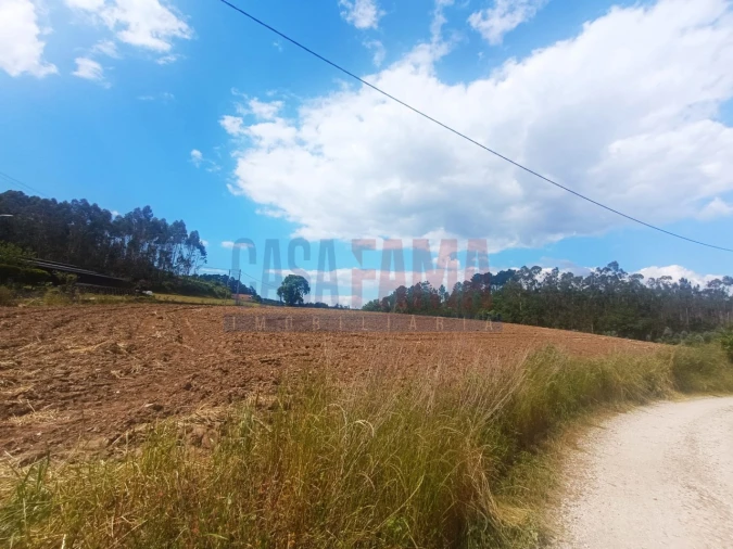 Terreno Agricola ou Rústico para Venda em Vilarinho das Cambas Foto 3