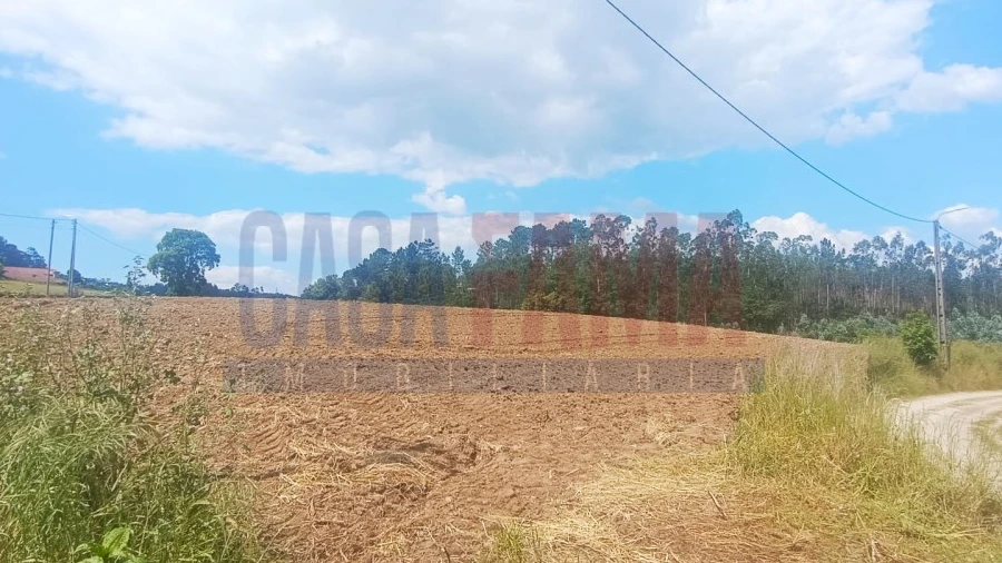 Terreno Agricola ou Rústico para Venda em Vilarinho das Cambas