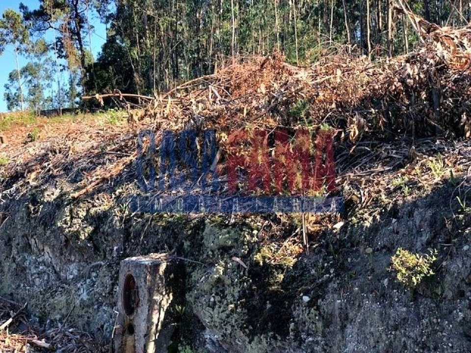 Terreno para Venda em Laundos Foto 4