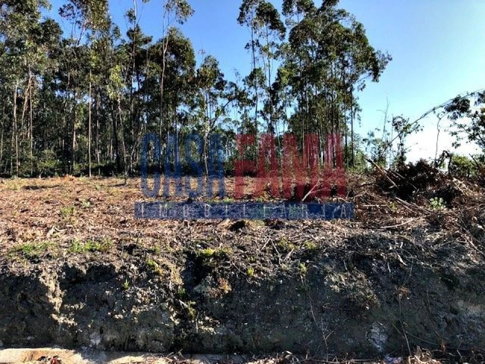 Terreno para Venda em Laundos Foto 5