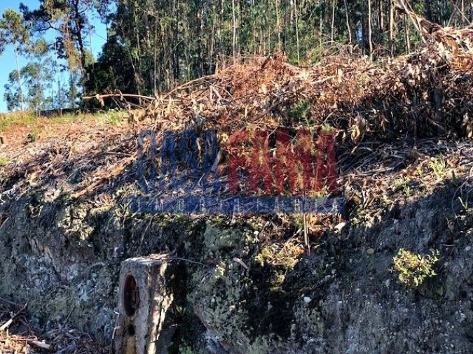 Terreno para Venda em Laundos Foto 4