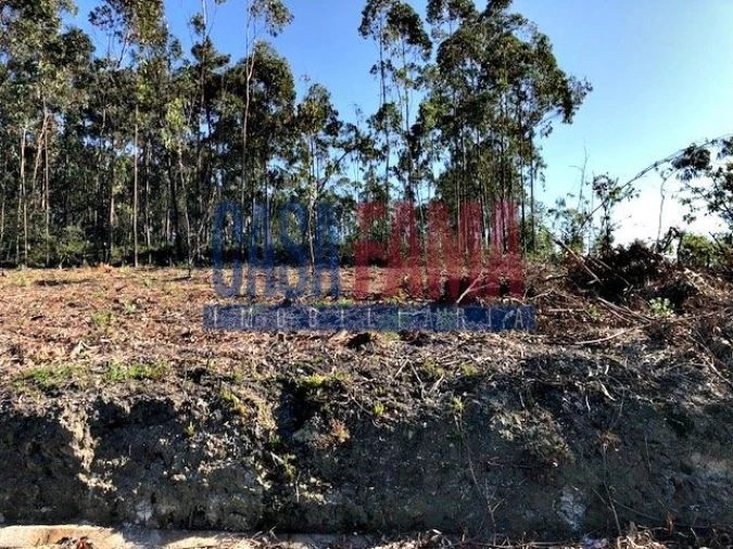 Terreno para Venda em Laundos Foto 5