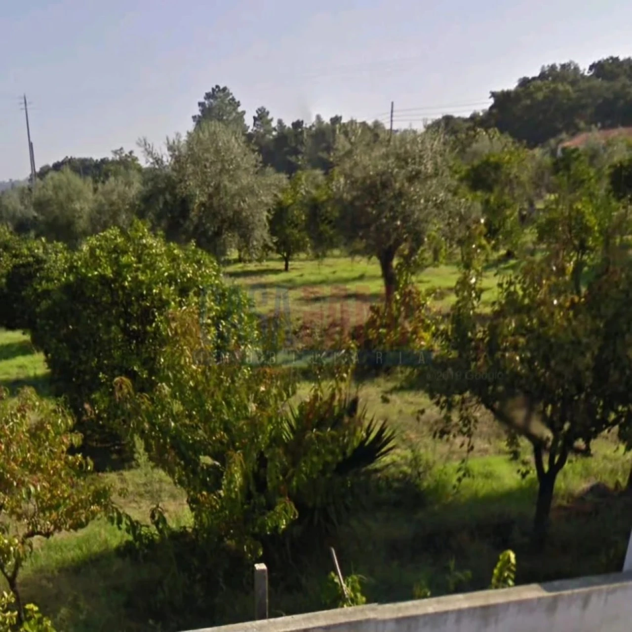 Terreno para Venda em Chamusca e Pinheiro Grande Foto 3