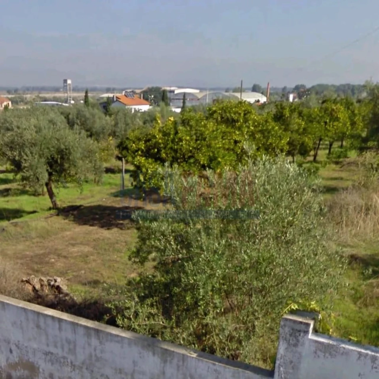 Terreno para Venda em Chamusca e Pinheiro Grande Foto 4