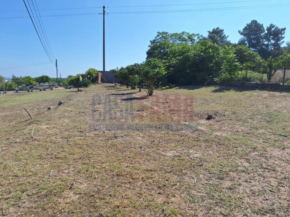 Terreno para Venda em Chamusca e Pinheiro Grande Foto 30