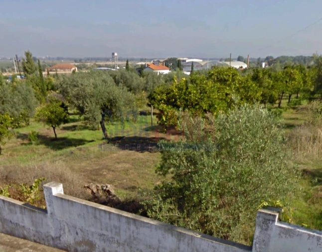 Terreno para Venda em Chamusca e Pinheiro Grande Foto 2