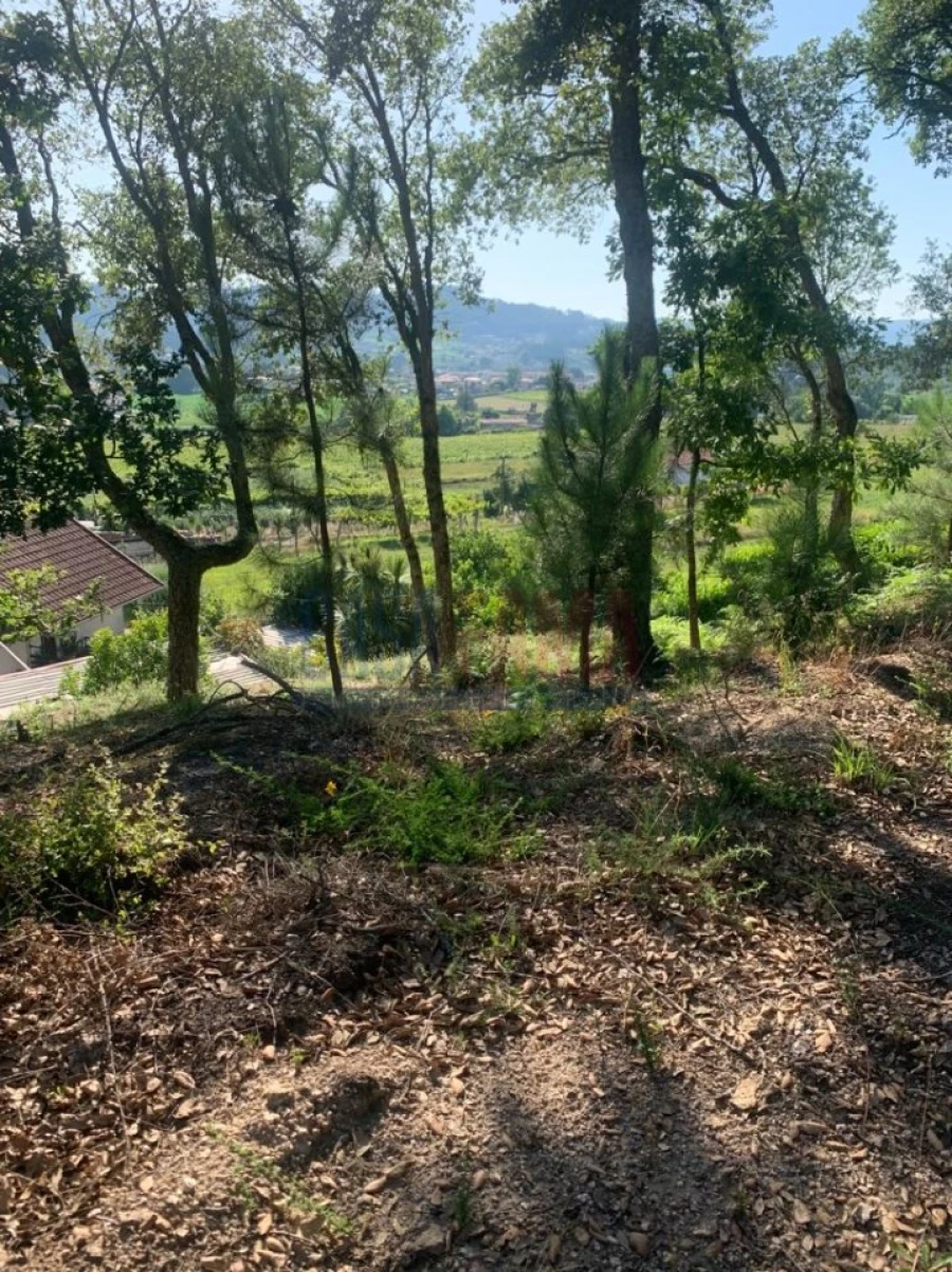 Terreno para Venda em Barcelos, V.Boa, V.Frescainha Foto 3