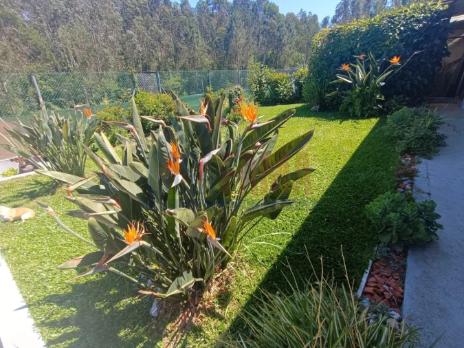 Moradia T3 para Venda em Vilarinho das Cambas Foto 23