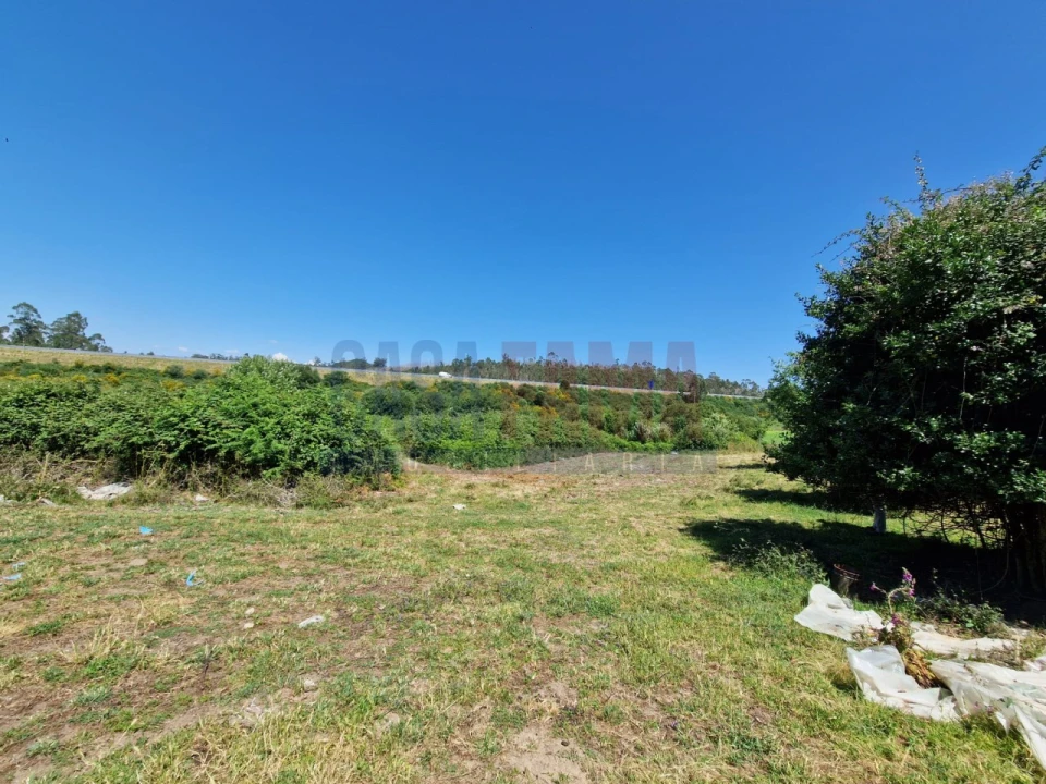 Terreno para Venda em Junqueira Foto 2