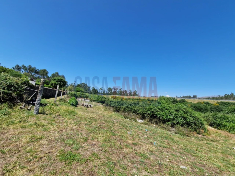 Terreno para Venda em Junqueira Foto 3