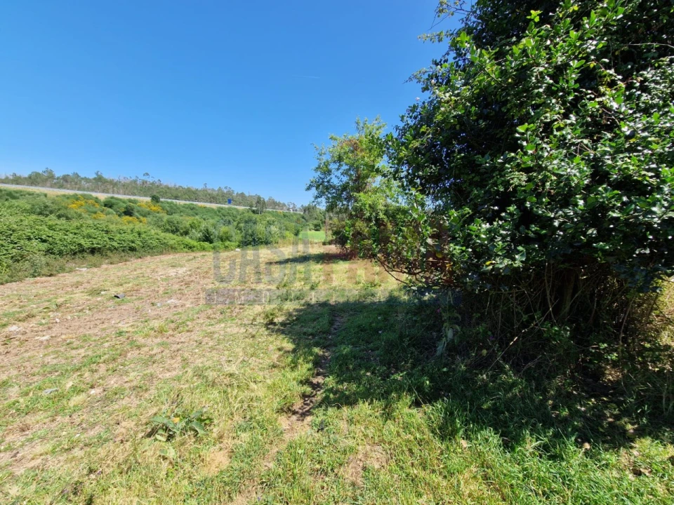 Terreno para Venda em Junqueira Foto 4