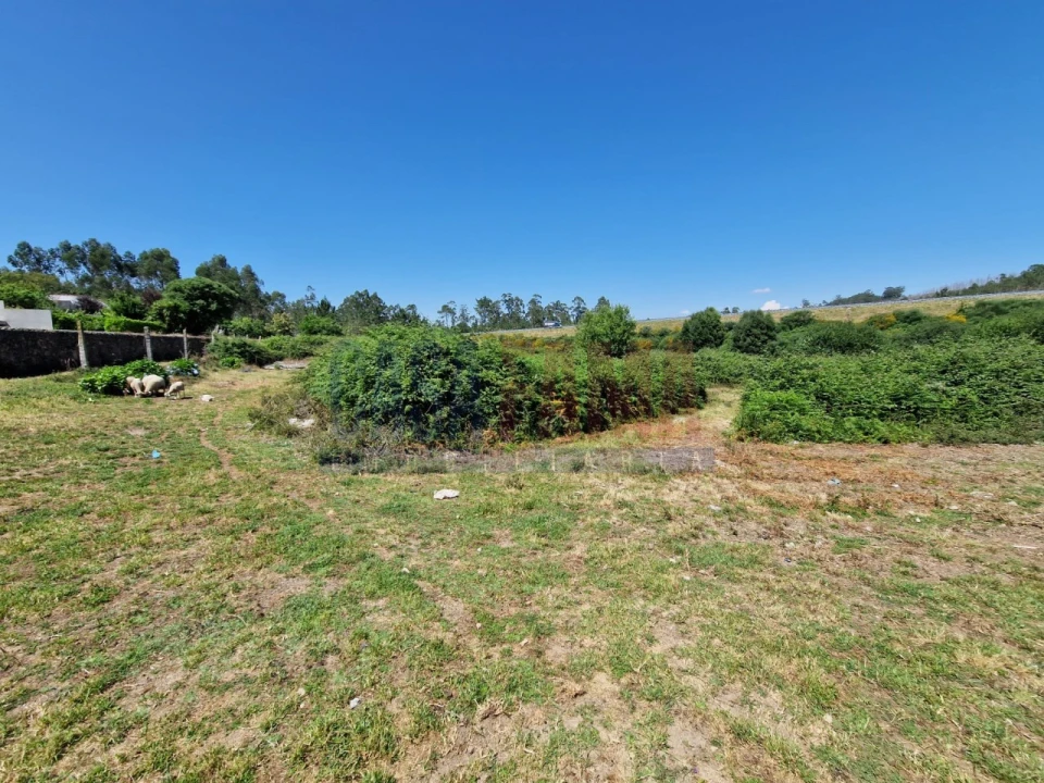 Terreno para Venda em Junqueira Foto 6