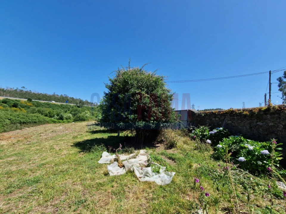 Terreno para Venda em Junqueira Foto 7