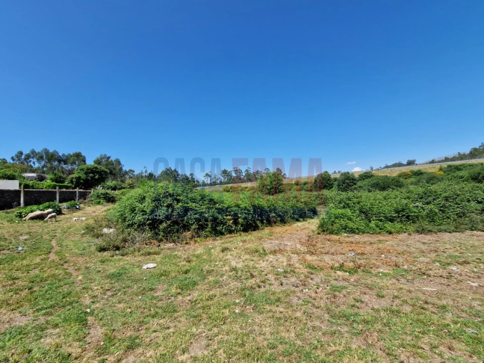 Terreno para Venda em Junqueira Foto 8