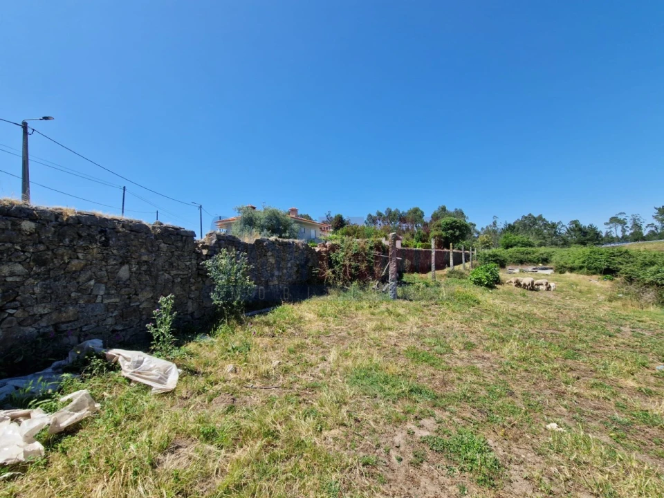 Terreno para Venda em Junqueira Foto 9