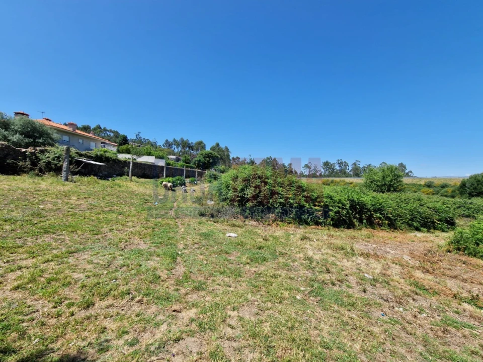 Terreno para Venda em Junqueira Foto 11