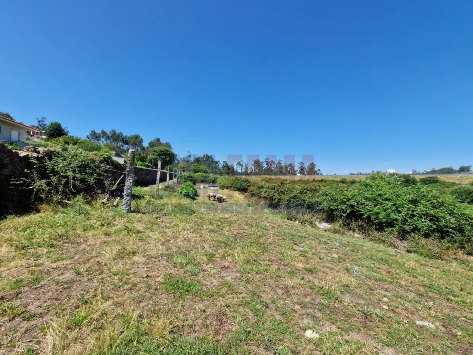 Terreno para Venda em Junqueira Foto 12