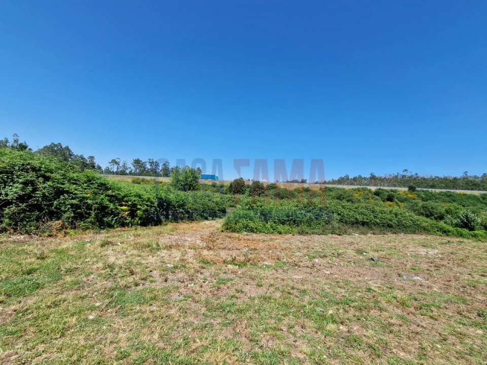 Terreno para Venda em Junqueira Foto 13