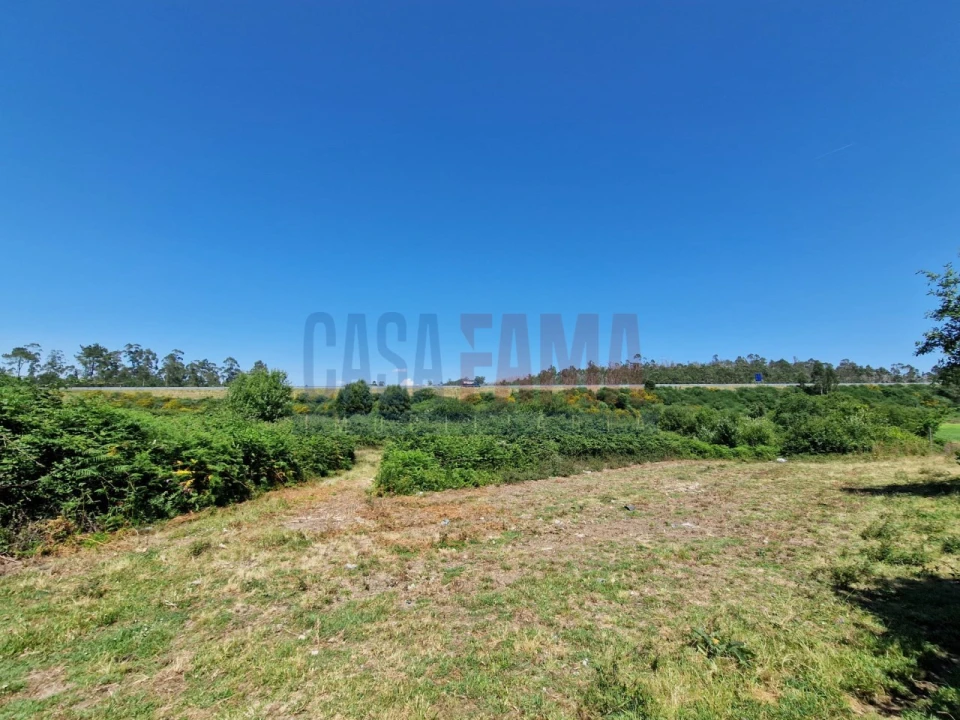 Terreno para Venda em Junqueira Foto 14