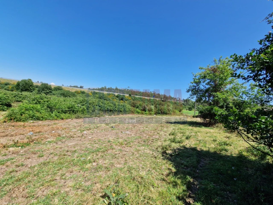 Terreno para Venda em Junqueira Foto 15