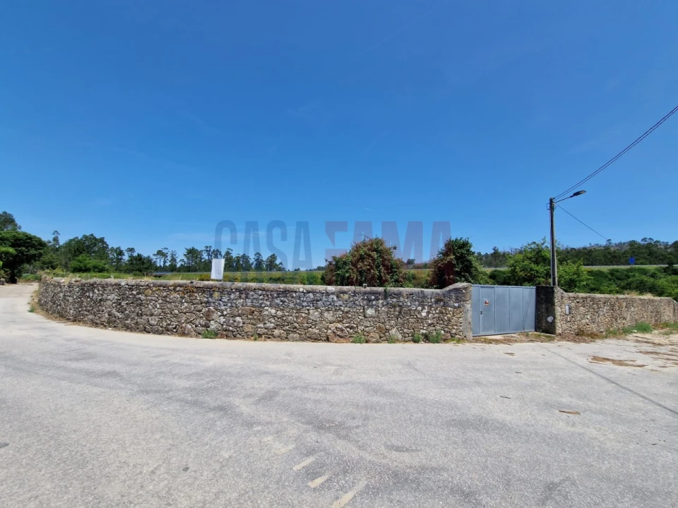 Terreno para Venda em Junqueira Foto 18