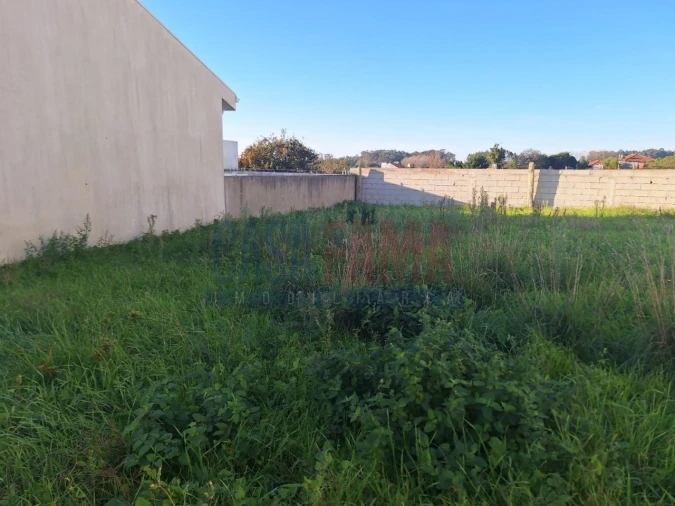 Terreno para Venda em Vilar de Pinheiro Foto 4