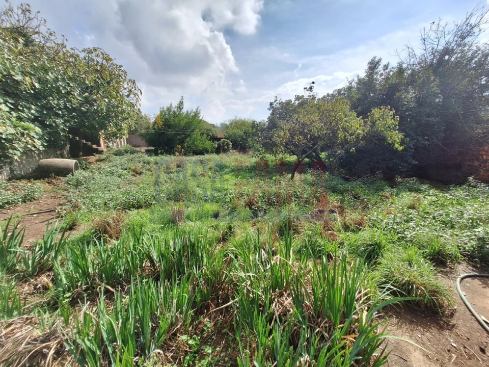 Quinta T5 para Venda em Fradelos Foto 36