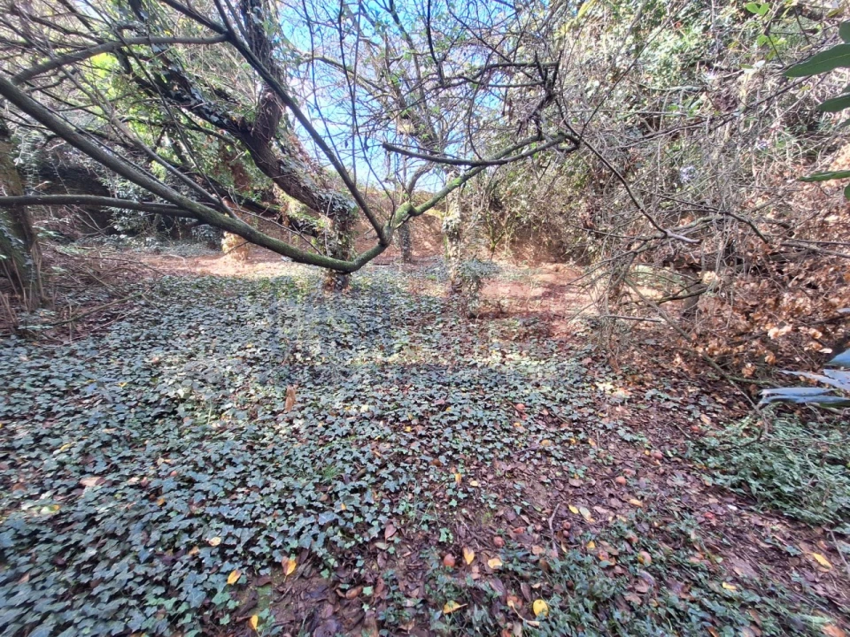 Quinta T5 para Venda em Fradelos Foto 40