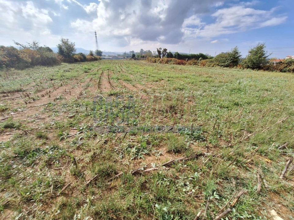 Quinta T5 para Venda em Fradelos Foto 43