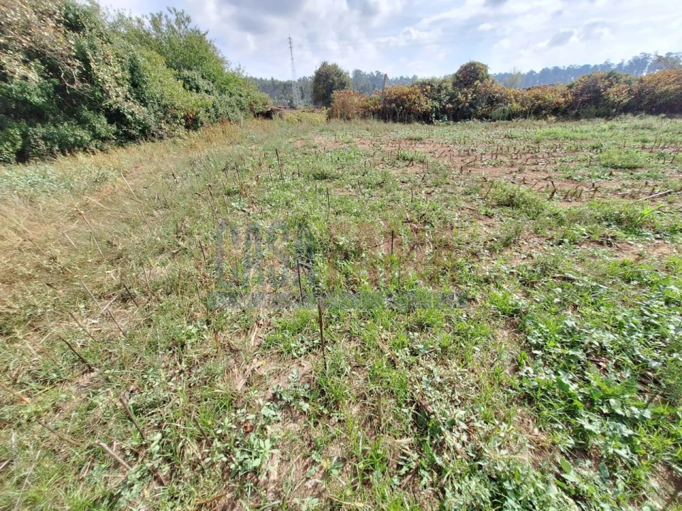 Quinta T5 para Venda em Fradelos Foto 44