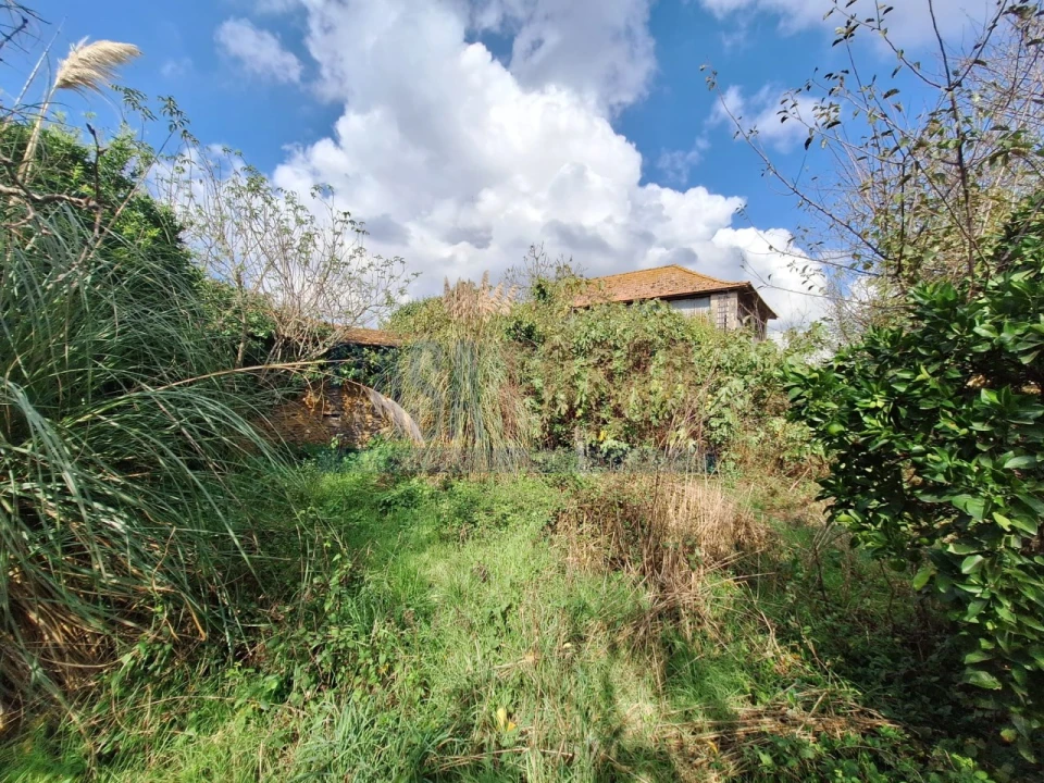 Quinta T5 para Venda em Fradelos Foto 45