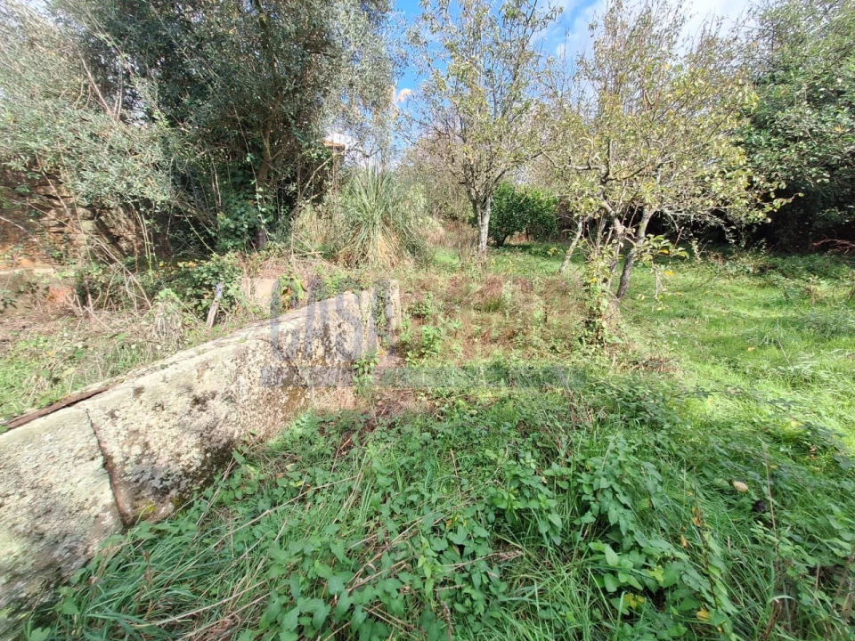 Quinta T5 para Venda em Fradelos Foto 47