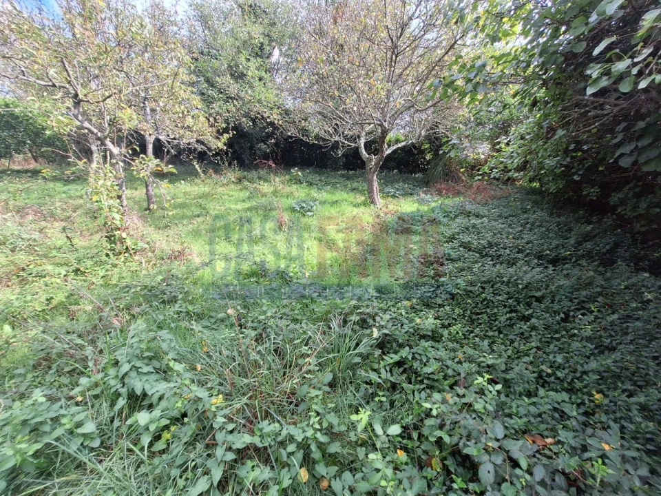 Quinta T5 para Venda em Fradelos Foto 48