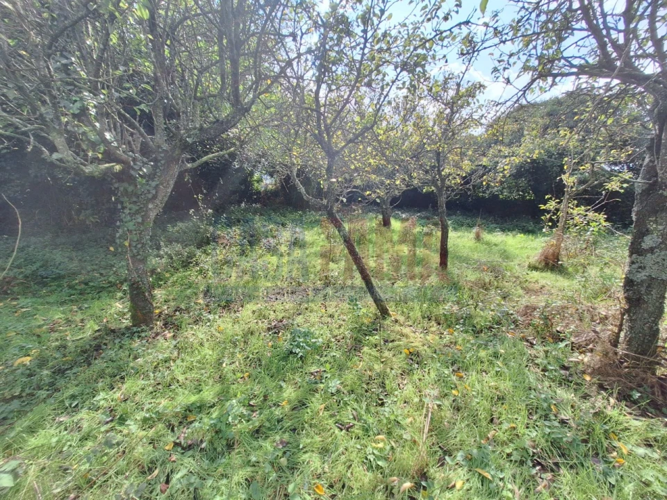 Quinta T5 para Venda em Fradelos Foto 49