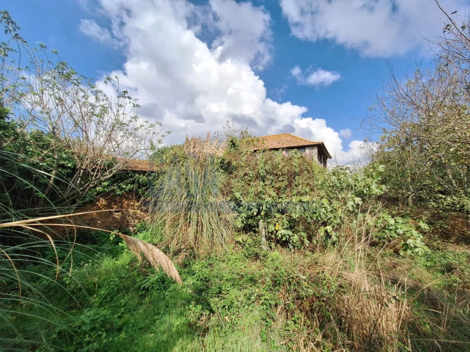 Quinta T5 para Venda em Fradelos Foto 50