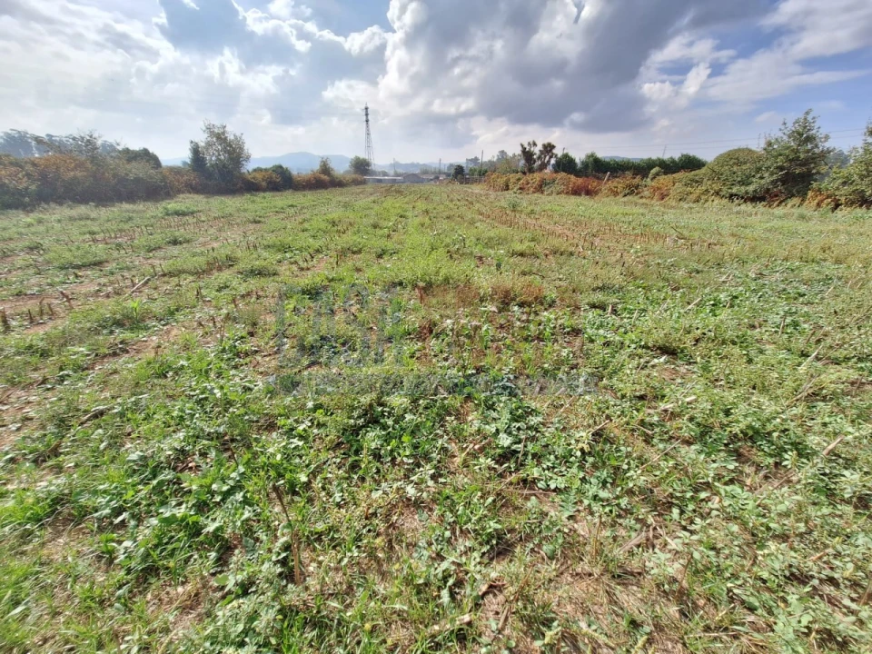 Quinta T5 para Venda em Fradelos Foto 51