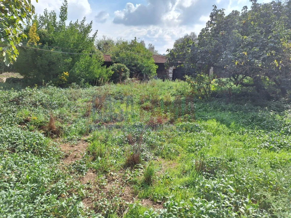 Quinta T5 para Venda em Fradelos Foto 67