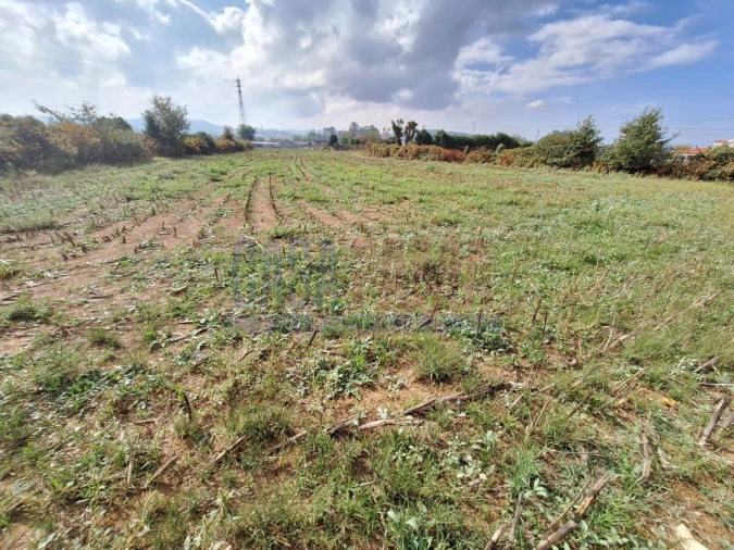 Quinta T5 para Venda em Fradelos Foto 43