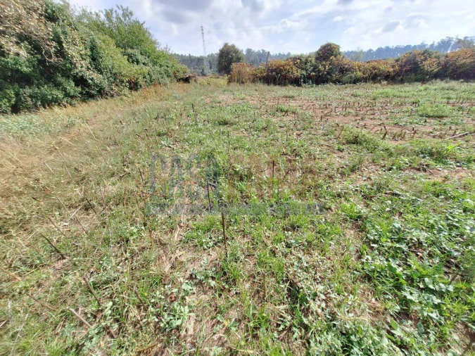 Quinta T5 para Venda em Fradelos Foto 44