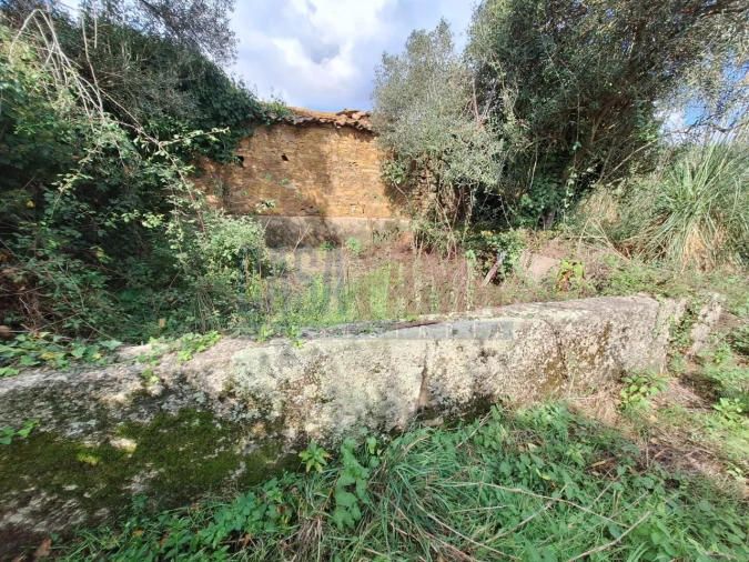 Quinta T5 para Venda em Fradelos Foto 46