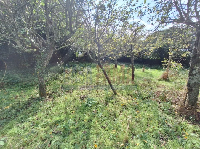 Quinta T5 para Venda em Fradelos Foto 49