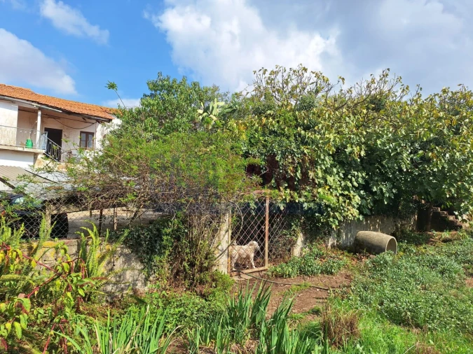 Quinta T5 para Venda em Fradelos Foto 60